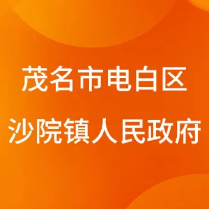 茂名市电白区沙院镇人民政府