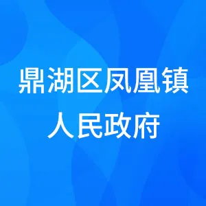 肇庆市鼎湖区凤凰镇人民政府