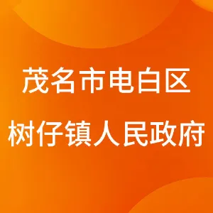 茂名市电白区树仔镇人民政府