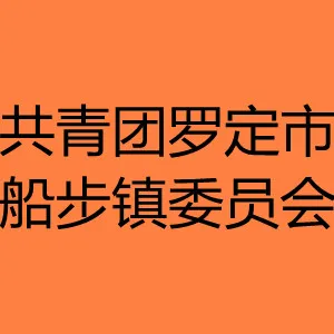 共青团罗定市船步镇委员会