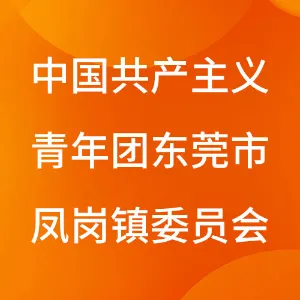 中国共产主义青年团东莞市凤岗镇委员会