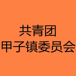 共青团甲子镇委员会