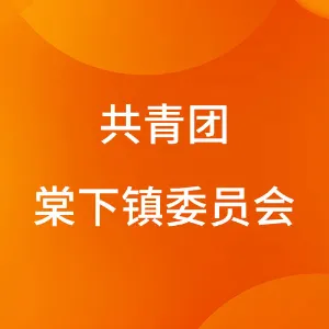 共青团棠下镇委员会