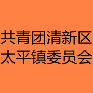 共青团清远市清新区太平镇委员会