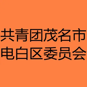 共青团茂名市电白区委员会