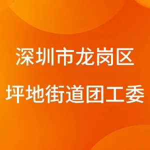 中国共产主义青年团深圳市龙岗区坪地街道工作委员会