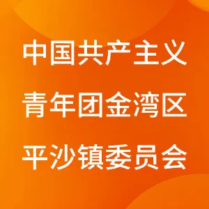 中国共产主义青年团珠海市金湾区平沙镇委员会