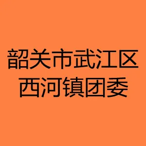 韶关市武江区西河镇团委