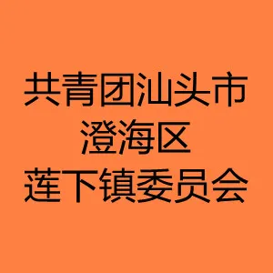 共青团汕头市澄海区莲下镇委员会
