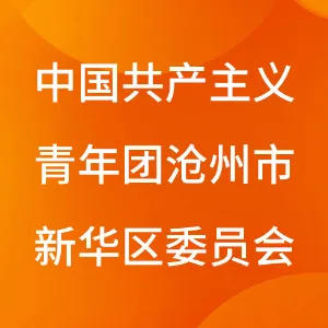 中国共产主义青年团沧州市新华区委员会