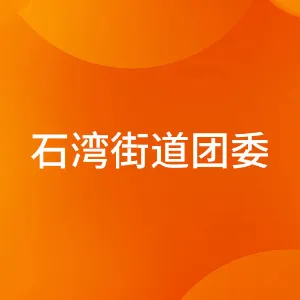 中国共产主义青年团佛山市禅城区石湾镇街道委员会