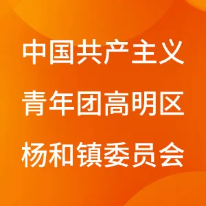 中国共产主义青年团陆丰市委员会