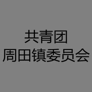 共青团周田镇委员会