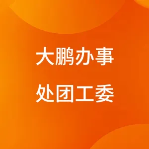 大鹏办事处团工委
