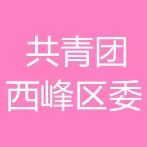 中国共产主义青年团庆阳市西峰区委员会