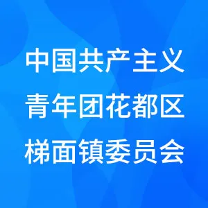 中国共产主义青年团广州市花都区梯面镇委员会