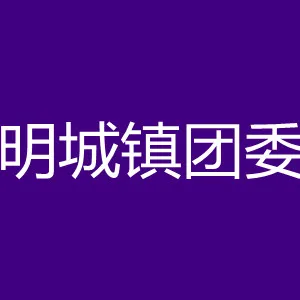 中国共产主义青年团佛山市高明区明城镇委员会