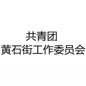 共青团广州市白云区黄石街工作委员会