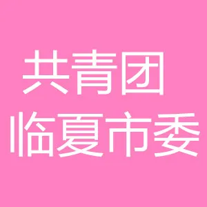 共青团临夏市委