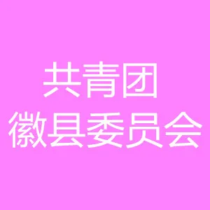 中国共产主义青年团徽县委员会