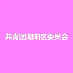 共青团潮阳区委员会