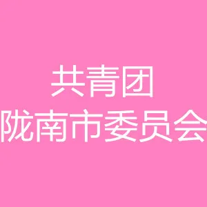 共青团陇南市委员会