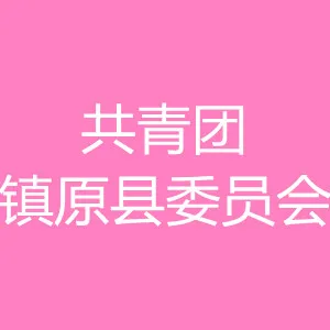 中国共产主义青年团镇原县委员会