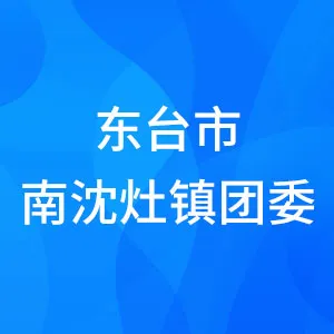 东台市南沈灶镇团委