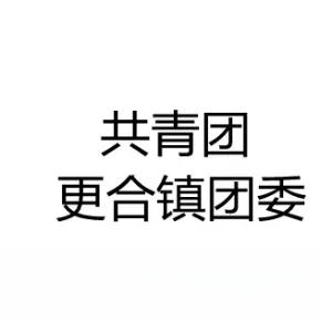 中国共产主义青年团佛山市高明区更合镇委员会