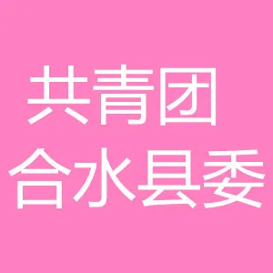 中国共产主义青年团合水县委员会