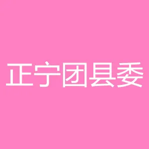 中国共产主义青年团正宁县委员会