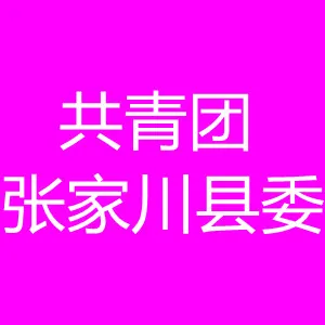 共青团张家川回族自治县委