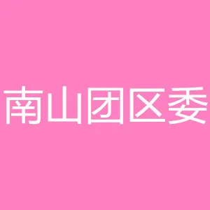 共青团深圳市南山区委员会