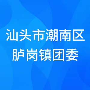 汕头市潮南区胪岗镇团委