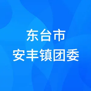 东台市安丰镇团委