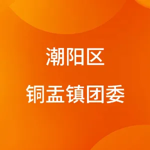 潮阳区铜盂镇团委