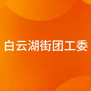 中国共产主义青年团广州市白云区白云湖街工作委员会