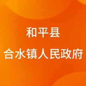 和平县合水镇人民政府