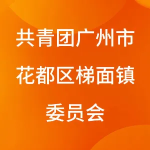 共青团广州市花都区梯面镇委员会