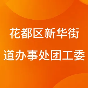 花都区新华街道办事处团工委