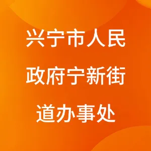 兴宁市人民政府宁新街道办事处