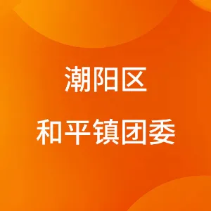 潮阳区和平镇团委