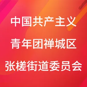 中国共产主义青年团佛山市禅城区张槎街道委员会
