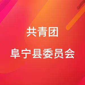 共青团阜宁县委员会
