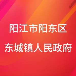阳江市阳东区东城镇人民政府