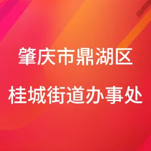 肇庆市鼎湖区人民政府桂城街道办事处