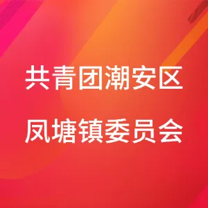 共青团潮安区凤塘镇委员会