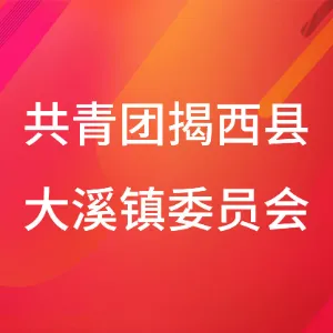 共青团揭西县大溪镇委员会