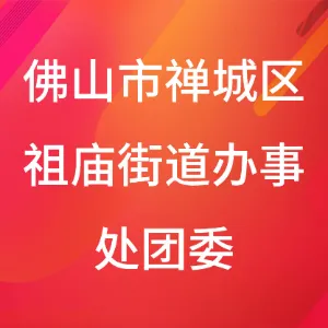 佛山市禅城区祖庙街道办事处团委