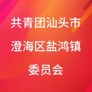共青团汕头市澄海区盐鸿镇委员会